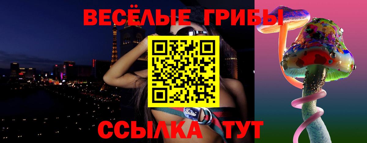 Галлюциногенные грибы MAGIC MUSHROOMS  Вход с VPN  Кандалакша  Галлюциногенные грибы Cubensis 